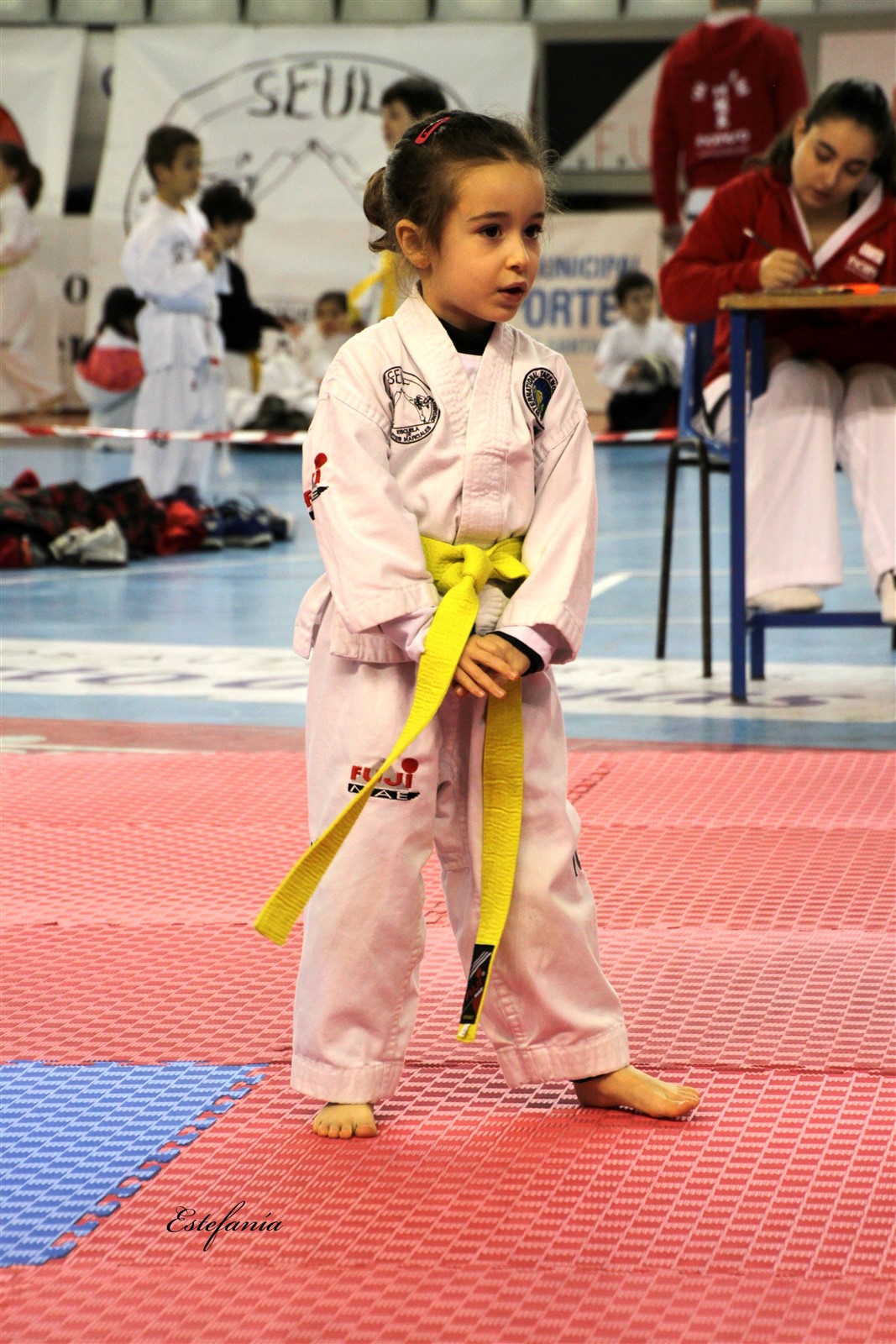 Taekwondo (96).jpg